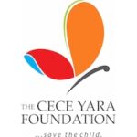 Shelter Nurse at the Cece Yara Foundation