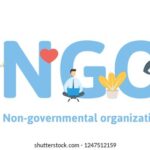 Business Partner at a Non-Governmental Organization