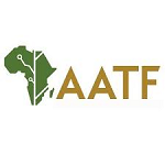 Consultant – Gendered Market Study on Hybrid Maize in Nigeria at the African Agricultural Technology Foundation (AATF)