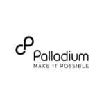Driver – Nigeria IHP – Ningi at Palladium Group