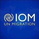 Programme Officer At International Organization for Migration (IOM)