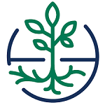 Agribusiness Manager at Cultivating New Frontiers in Agriculture (CNFA)