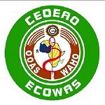 Programme Officer, Planning at the West African Health Organization (WAHO)