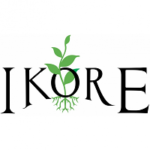 Access to Finance Consultant at Ikore International Development Limited