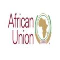 Senior Finance Officer, IPSAS Expert at the African Union (AU)