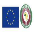 Driver at the European Union Delegation to the Federal Republic of Nigeria and ECOWAS