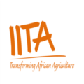 State Helpdesk Officer (Lagos) at International Institute of Tropical Agriculture (IITA)