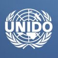 National Project Coordinator at the United Nations Industrial Development Organization (UNIDO)