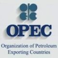 Head, Public Relations and Information Department at the Organization of the Petroleum Exporting Countries (OPEC)