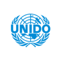 Representative and Director, Regional Hub at The United Nations Industrial Development Organization – UNIDO