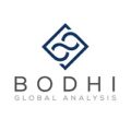 National Consultants (Roster) | Senegal At Bodhi Global Analysis
