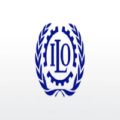 Social Finance Consultant at the International Labour Organization (ILO)