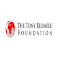 Software Engineer at Tony Elumelu Foundation