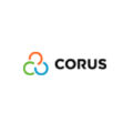 Gender Equity, Disability, and Social Inclusion (GEDSI) Specialist FCDO PACT (Nigeria) at Corus International