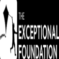 Skill Acquisition and Empowerment Outreach Assistant at The Ambience of Hope Exceptional Foundation