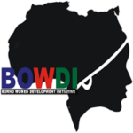 Procurement and Logistics Officer at Borno Women Development Initiative (BOWDI)