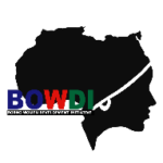 Monitoring Evaluation Accountability Learning (MEAL) Officer At Borno Women Development Initiative (BOWDI)