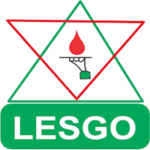 Protection Officer at Grassroots Lifesaving Outreach (LESGO)