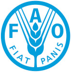 Office Assistant at the Food and Agriculture Organization of the United Nations (FAO-UN)