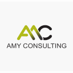Program Director at a Reputable NGO – Amy Consulting