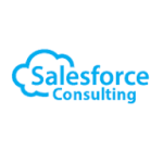 Director General at a Not-for-profit Advocacy Group and a Chamber of Commerce – Sales Force Consulting