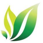 SEO Pro Personnel (Paid Partnership with Equity Opportunities) at Thriveon Enterpreneur