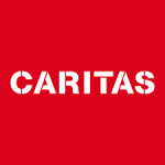 One /one Responsible for the’effect 1 of the program NARIMEY (100 %) At Caritas Switzerland