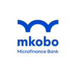 Internal Auditor at Mkobo Microfinance Bank Limited