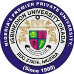 Chief Medical Director at Igbinedion University