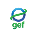 Consultant to Design an Inclusive Health Training (IHT) Curriculum forPrimary Healthcare Workers At GEF