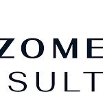 Editorial Intern at Rhizome Consulting