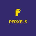 Graduate Trainee (Digital Marketer) at Perxels