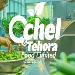 Head of Business Development and Strategic Planning At Ochel and Tehora Foods Limited