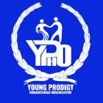 Consultants At Young Prodigy Humanitarian Orgnization(YPHO)