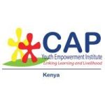 Communications Officer-1 Year Contract At CAP Youth Empowerment Institute