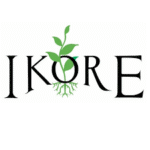 State Team Lead (Ekiti), Upcoming Advocacy Project at Ikore International Development Limited