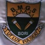 Project Coordinator at BMGS Bori C96 Foundation