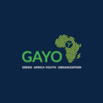 Grants and Operations Manager (Remote) at Green Africa Youth Organization (GAYO)